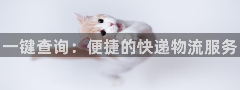 用usdt交易被骗能追回来吗：一键查询：便捷的快递物流服务