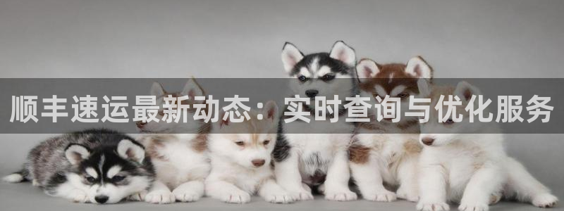 usdt官网查询：顺丰速运最新动态：实时查询与优化服务