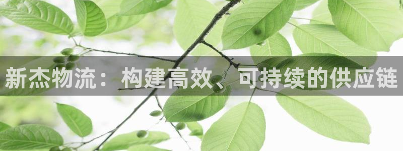 usdt钱包官方下载bitpie